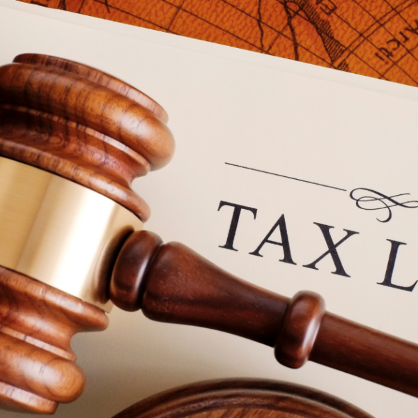 A wooden judge’s gavel rests on a document labeled “Tax Law,” symbolizing the importance of legal and tax expertise in financial decision-making for veterinary practices.